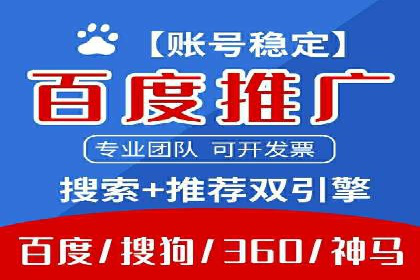 SEM公司案例研究：数据驱动营销策略